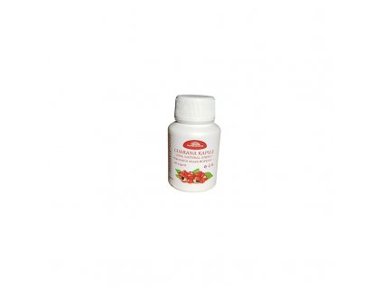 guarana extrakt 600mg 100 tobolek