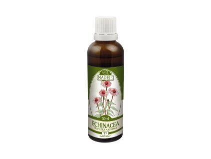 ECHINACEA PURPUREA 50ml