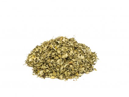 Moringa olejodárná list