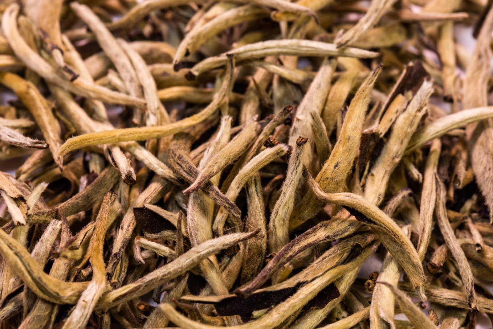 Prodejnabylin.cz Silver Needle - "Stříbrné jehly" - bílý čaj váha: 100g