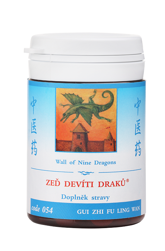 Levně TCM Herbs ZEĎ DEVÍTI DRAKŮ® (054) 100 tablet