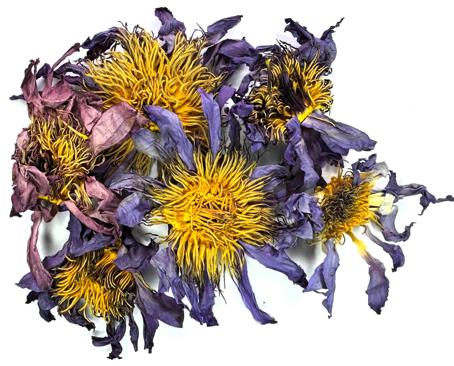 Lotosový květ váha: 50g