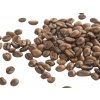 ProdejnaBylin Zrnková káva 100% Arabica Keňa Top Masai AA