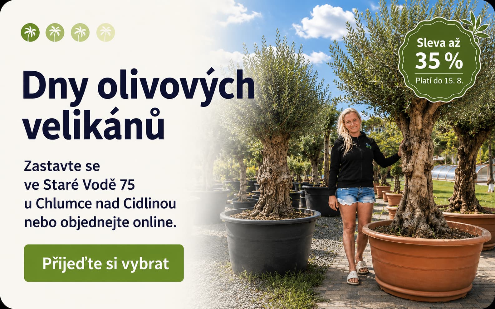 Dny olivových velikánů