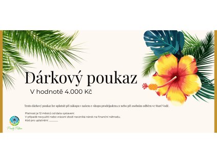 Text odstavce (19)
