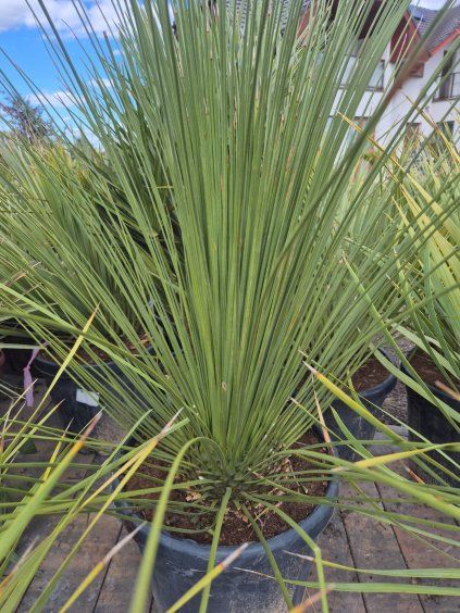 WhatsApp Image 2026 04 08 at 14.59.18