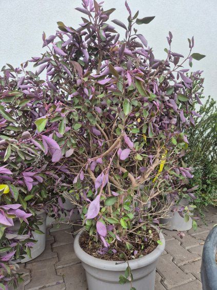 WhatsApp Image 2026 04 13 at 10.39.09 (2)