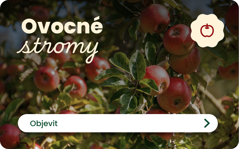 Ovocné stromy