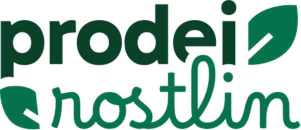 PRODEJ ROSTLIN