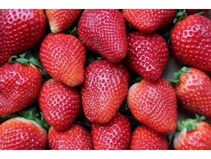 fruit gef6e71e89 1280