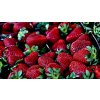 strawberries g035e3cee7 1280