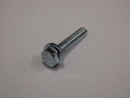 pa055851