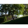 Segway Navimow X-420E