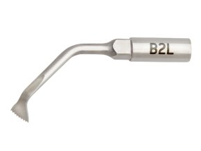 B2L