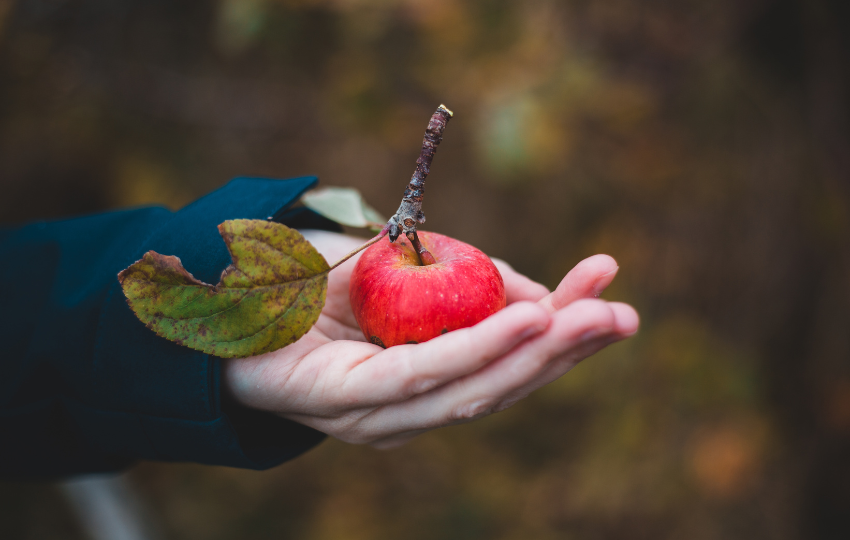 Ako zvládnuť jesenné chute – bez výčitiek