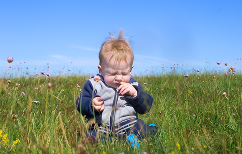 S jarem nepřicházejí jenom teplo ale i alergie