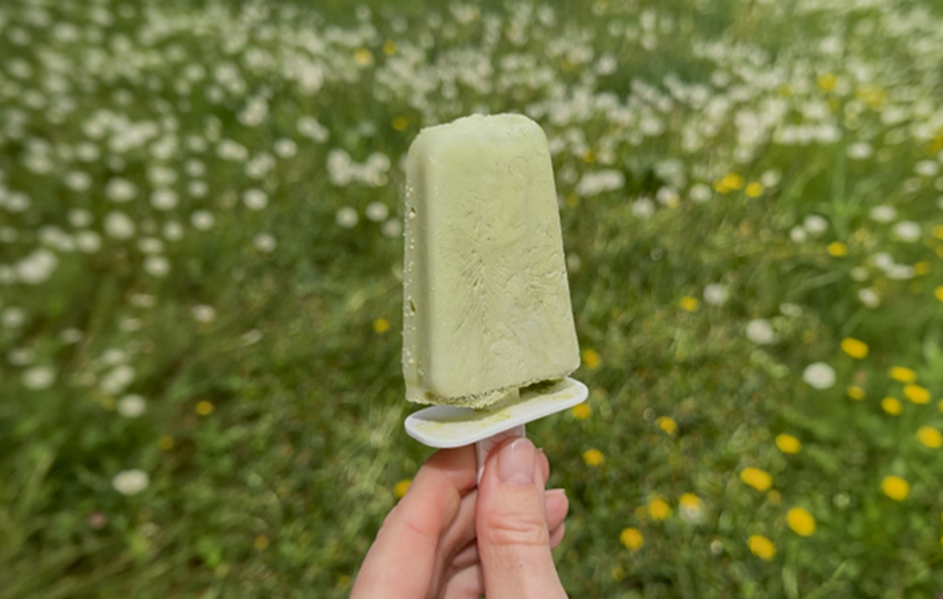MATCHA nanuky s kolagenem