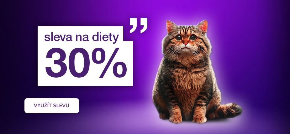 Lednovka 2025 - Macek