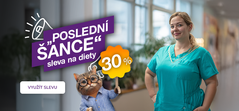 Lednovka 2025 - zdravotní sestra