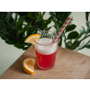 Proteinová limonáda s kolagenem