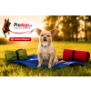 Prodogs Softshell deka pro psy