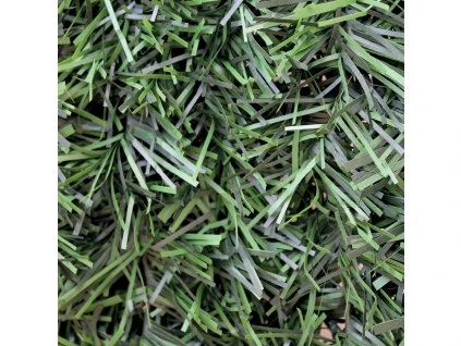 umely zivy plot pilecky