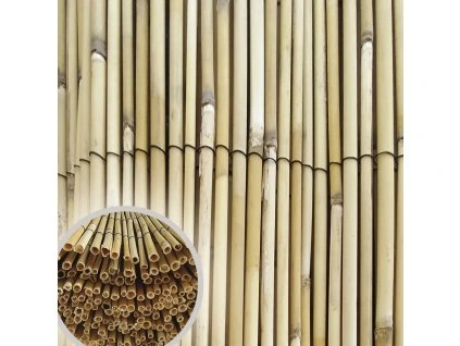 stinici rohoz reedpil