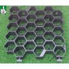 Zatravňovací dlažba BIELBET EXTRA STRONG 33,8 x 33,5 x 7,5 cm černá 1 ks