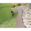 Zahradní palisáda IPAK1 11,5 cm / 3,8 m šedá 32 ks