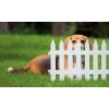 Zahradní okrasný plůtek Garden Classic hnědý 35 cm / 3,2 m