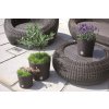 39510 6 plastove kvetinace rato round antracit 40 cm