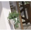 39609 6 plastove zavesne kvetinace ratolla round w mocca 24 3 cm