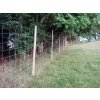 23770 3 pletivo pozinkovane uzlove light v 0 8 m vodorovne draty 5 ks bal 50 m