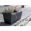70325 1 truhlik terra 80 cm prosperplast antracit