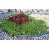 31624 2 zahradni obrubnik plastovy 12 5cm 18 m sedy