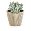 73889 kvetinac splofy eco wood 18 7 cm naturo