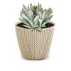 73895 kvetinac splofy eco wood 21 8 cm bily