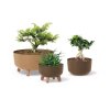 73991 kvetinac gracia low eco wood 29 cm kavovy