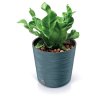 74246 3 kvetinac furu round 25 cm bila