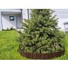 zahradni palisada stella green pa80 05