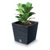 76453 kvetinac furu square low eco wood 24 cm naturo