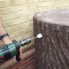Sud na dešťovou vodu pařez LITTLE TREE umbra 250 l