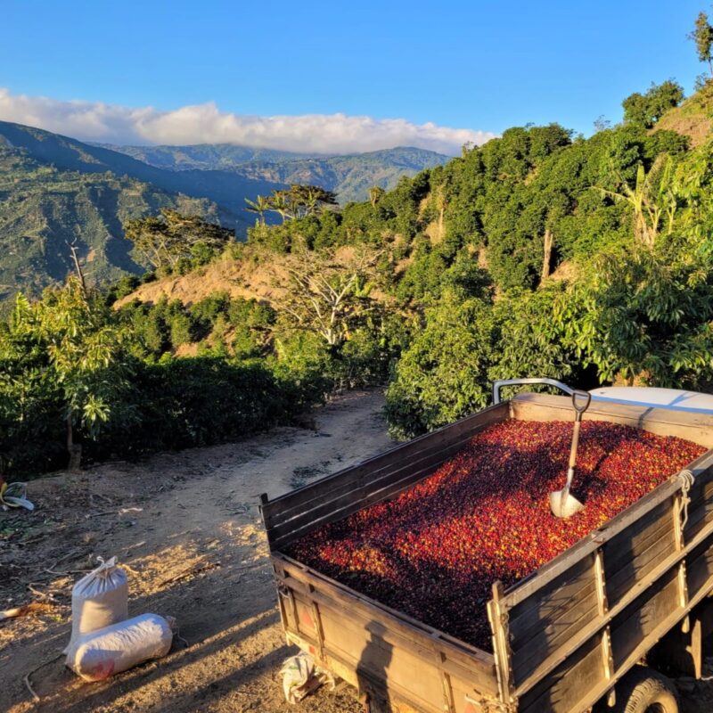 K5d0iMHzXSl7TNs3IrqL_125899