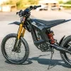 Arctic Leopard XE PRO R