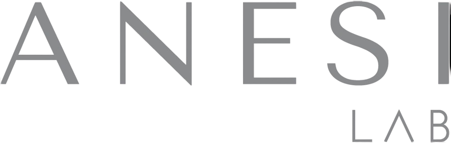 anesi_logo-removebg-preview