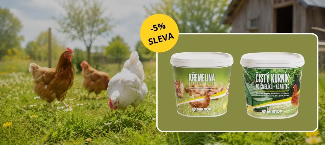 Čmelíci