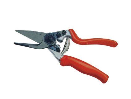 Návrh bez názvu (41)