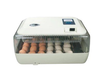 janoel lehen automat