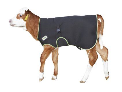 deka pro telata premium 1