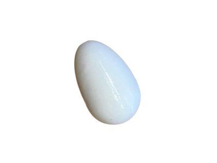 podkladek pro papousky 1